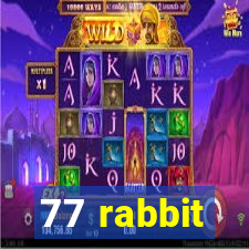 77 rabbit